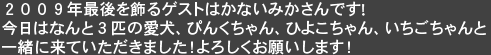 ２００９年最後を飾るゲストはかないみかさんです!今日はなんと３匹の愛犬、ぴんくちゃん、ひよこちゃん、いちごちゃんと一緒に来ていただきました！よろしくお願いします！
